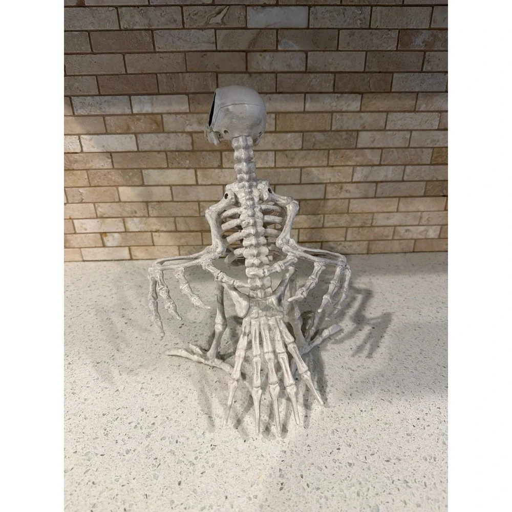 Crazy bonez skeleton bird dodo crow Halloween prop decor